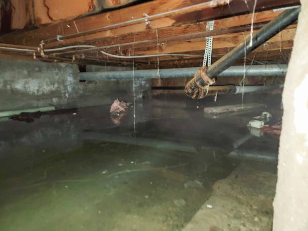 Best Residential water damage restoration  in Mlstadt, IL