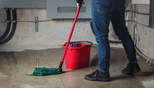 Best Water damage restoration specialists  in Mlstadt, IL