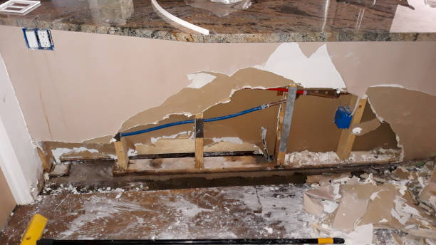 Best Carpet water damage restoration  in Mlstadt, IL