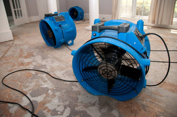 Best 24-hour water damage restoration  in Mlstadt, IL