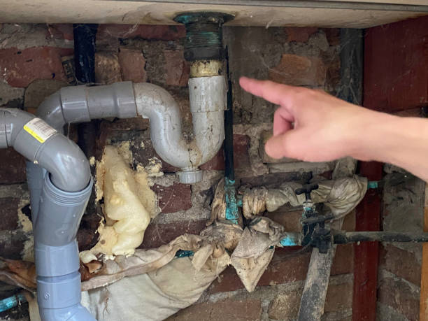 Best Water damage cleanup near me  in Mlstadt, IL